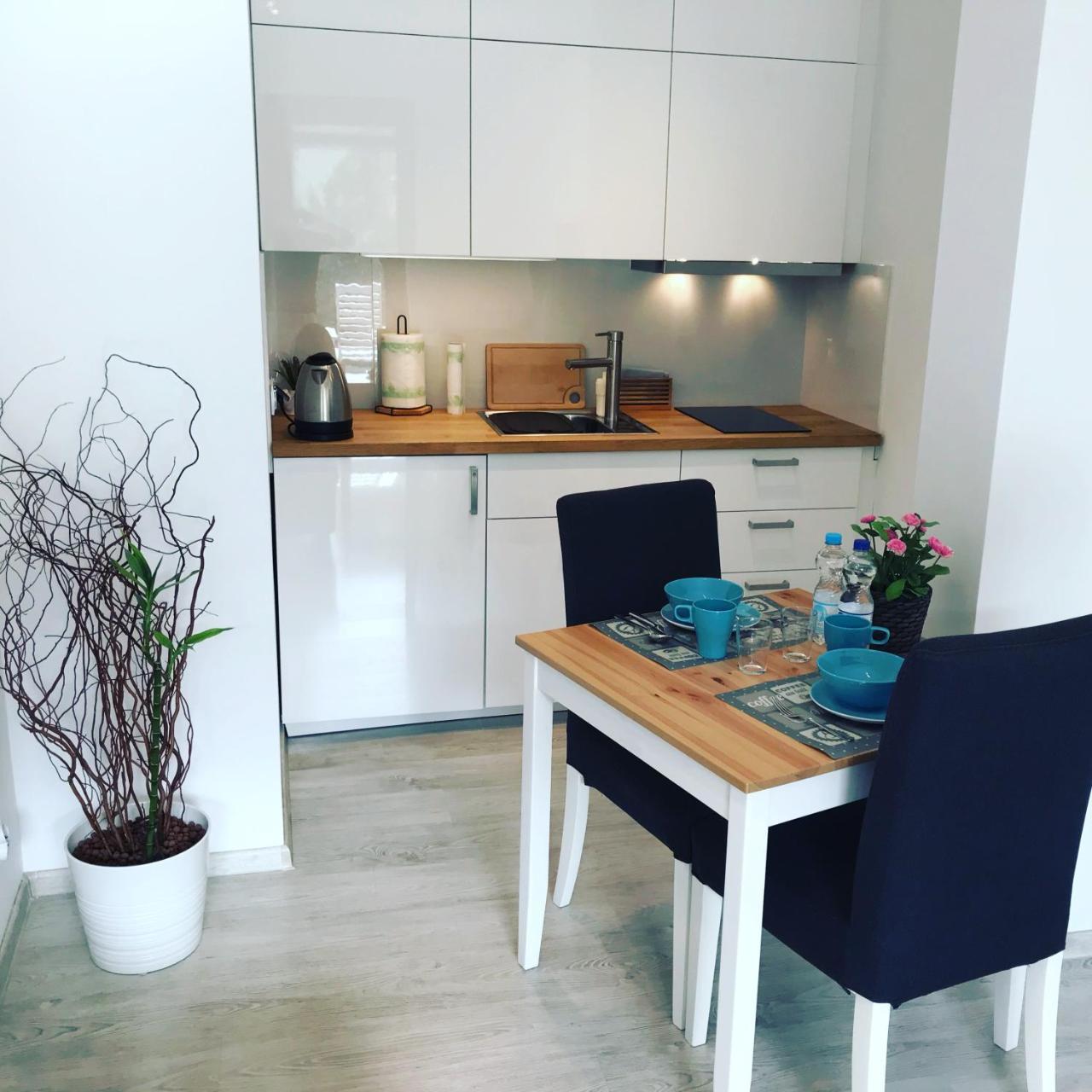 크라쿠프 Visitcracow Apartament 아파트 외부 사진